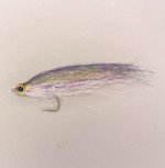 IMG_4311.jpeg