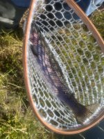 IMG_6840.jpeg