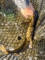 IMG_6846.jpeg