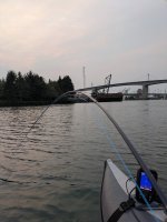 PXL_20250905_021145201.jpg PXL_20250905_021145201.jpg