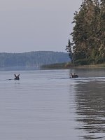 20250830_070156.jpg 20250830_070156.jpg
