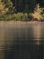 20250830_070344(1).jpg 20250830_070344(1).jpg