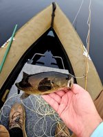 20250904_192125.jpg 20250904_192125.jpg