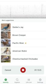 Screenshot_20250905_081625_Merlin Bird ID.jpg