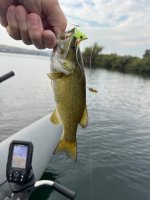 IMG_2183.jpeg