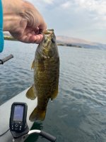 IMG_2188.jpeg