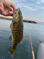 IMG_2192.jpeg