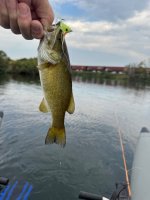 IMG_2182.jpeg