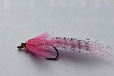 IMG_20250906_121849569 (1).jpg