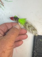 IMG_0740.jpeg
