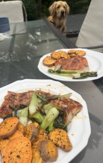 IMG_9229.jpeg