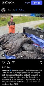 Sea Otters.jpg Sea Otters.jpg