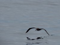 IMG_9763.jpeg