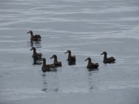 IMG_9797.jpeg