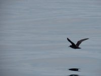 IMG_9889.jpeg