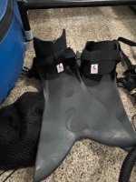 IMG_3749.jpeg