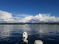 20190910_164446.jpg