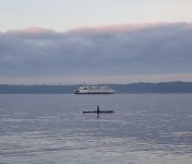 IMG_3811.jpeg