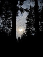 IMG_5061.jpeg