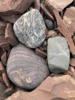 IMG_4989.jpeg IMG_4989.jpeg