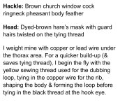 IMG_1809.jpeg