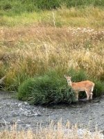 IMG_4344.jpeg