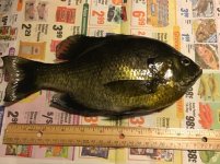 IMG_4278.jpeg