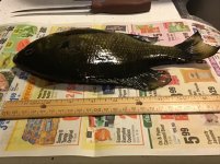 IMG_4281.jpeg