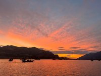 IMG_5860.jpeg