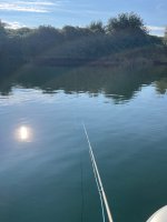 IMG_4943.jpeg