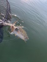 IMG_4949.jpeg
