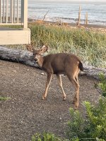 IMG_6052.jpg