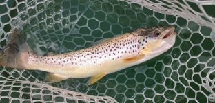 IMG_20250912_130041722.jpg