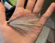 IMG_1410.jpeg