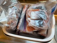 IMG_4955.jpeg