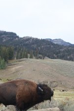 IMG_5904.jpeg