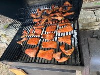 IMG_4959.jpeg