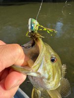 IMG_0041.jpeg