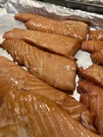 IMG_4960.jpeg