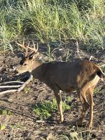 IMG_6089.jpeg