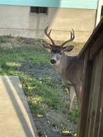 IMG_6094.jpeg
