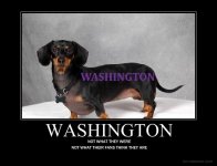 Dachshunds.jpg Dachshunds.jpg