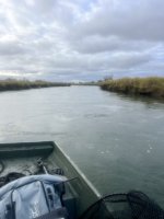 IMG_6943.jpeg
