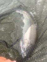 IMG_6948.jpeg
