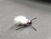 IMG_20250915_191334774.jpg