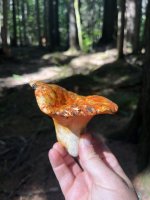 2025-09-12 15.12.24.jpg