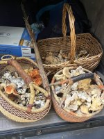 2025-09-12 16.31.02.jpg