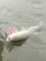 IMG_6971.jpeg