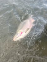 IMG_6977.jpeg