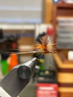 IMG_1590.jpeg